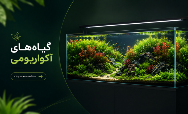 گیاهان پرفروش آکواریومی